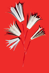 Red books and pencils on vibrant red  background. Education, knowledge or Nature concept. Flat lay.
