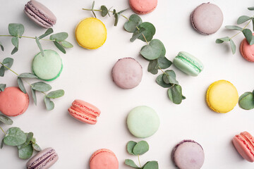 Pink, yellow, green and lilac macarons cookies with eucalyptus on a white background. Background with traditional french dessert.
