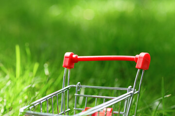 Empty small shopping cart on green grass in summer. Shopping trolley. World crisis. Internet sales concept: add to basket