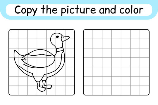 Copy the picture and color duck. Complete the picture. Finish the image. Coloring book. Educational drawing exercise game for children