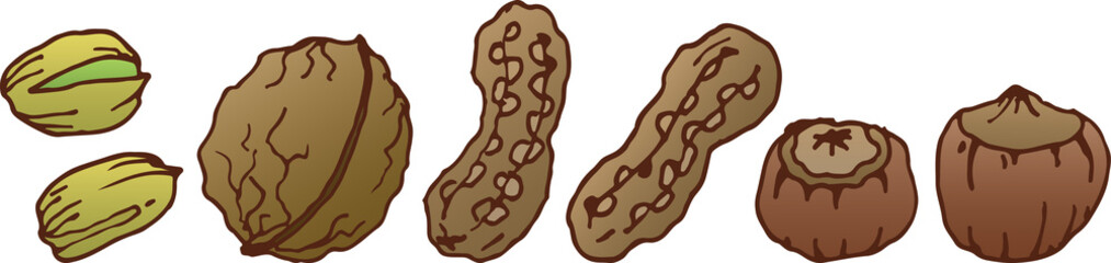 A set of illustrations of nuts in a shell with an outline. Walnut, pistachios, peanuts, hazelnuts, eps ready to use. For your design