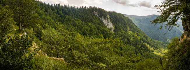 La combe d&rsquo;Orvaz, versant est, depuis la cr&ecirc;te du cirque, Jura, Ain, Auvergne-Rh&ocirc;ne-Alpes, France