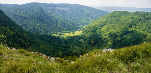 Sur la crête du cirque d’Orvaz, face à la Roche Fauconnière, Jura, Ain, Auvergne-Rhône-Alpes, France