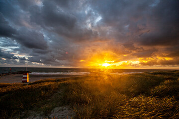 Sonnenstrahlen am Strand