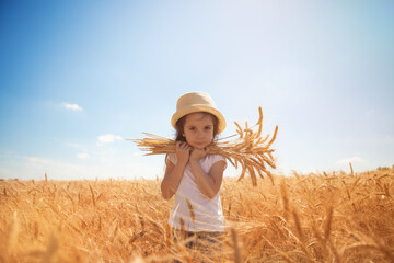 Happy girl walking in golden wheat, enjoying the life in the field. Nature beauty, blue sky and field of wheat. Family outdoor lifestyle. Freedom concept. Cute little girl in summer field - 516063528