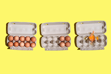 top view of Mockup or packaging design, paper box with chicken eggs on a yellow background, eco friendly or green product. Open cardboard box with chicken eggs.