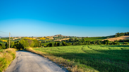 Fototapeta na wymiar Beautiful sunrise in the countryside of Marche in a summer morning