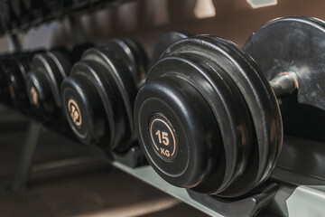 Black dumbbells on metal racks in the gym.
