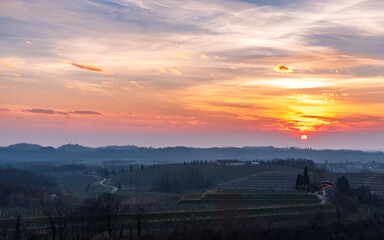 Fototapeta premium Spring sunset in the vineyards of Collio Friulano