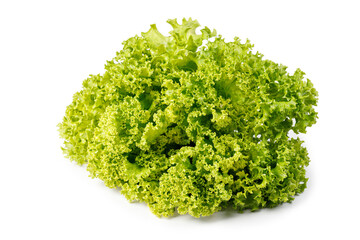 Green lettuce, fresh curly lettuce leaves bunch isolated on white background