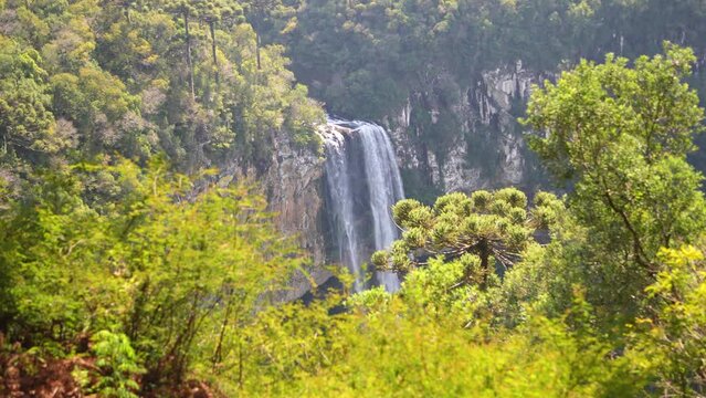Water Fall in the Brazilian mountains and rainforest.