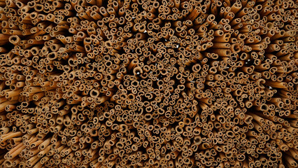 Cinnamon burmani kerinci stick pattern background