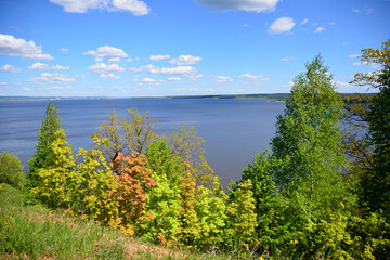 Fototapeta na wymiar early autumn trees on the edge of the mountain with the blue lake on background