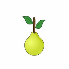Vector illustration design of a pear with green leaves.  It's sweet and fresh