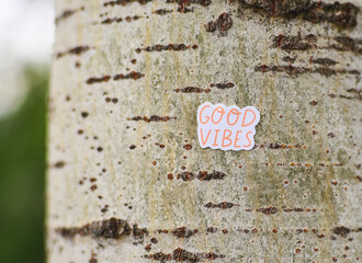 Good vibes- text on the trunk of the tree. About Good vibes, feelings and emotions.