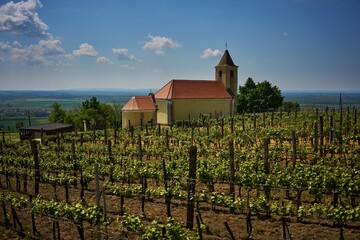 Rural landscape of a wine region with church in spring or early summer. Somlo, Hungary, St. Margit...