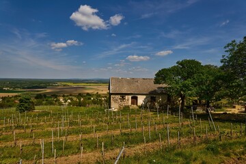 Rural landscape of a wine region with old cottage in spring or early summer. Somlo, Hungary.