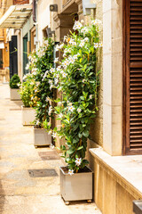 Fototapeta na wymiar Streets and old architecture of Polensa city, Mallorca island