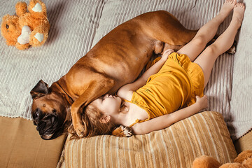 a little girl in a yellow dress at home on the sofa goes to bed with her big dog German boxer, trust and friendship of children and dogs
