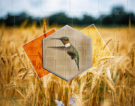 Geometric Shape Effect