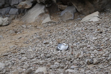 Portugal - Lisbon - Iberian Pensinula