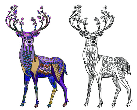 Coloring page for adults and children. Colouring pictures with fairy deer. Antistress freehand sketch drawing with doodle and zentangle element isolated on white background.