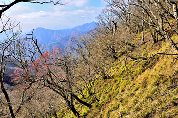 丹沢の小笄より　シロヤシオツツジの紅葉と富士山遠望
丹沢　小笄より中央奥に富士山、その手前が畦ヶ丸、左が箒沢権現山
