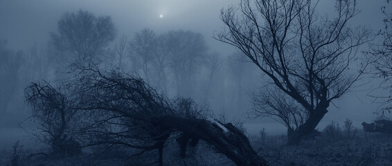 Spooky winter landscape at night showing forest and full moon in the mist