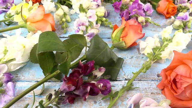 Colorful summer garden flowers: dragon flowers, roses, sweet pea on the vintage wooden light blue background.