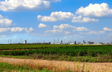 Blue sky with fluffy clouds above field sunflower in day. The background has silhouette of electrical substation, industrial tower oil refinery against green fields in Haifa, Israel. Selective focus
