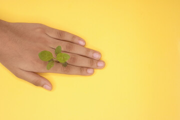 Leaf plant boy girl kid children nature sustainable future Earth plants yellow background ecology gardening human