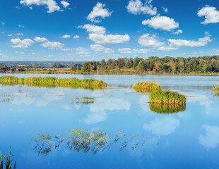Summer lake landscape with plants reflections on water surface (near Shklo settlement, Lviv Oblast, Ukraine) .