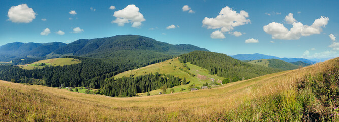 Mountain village. Summer country landscape with fir forest on slope (Carpathians, Ukraine).