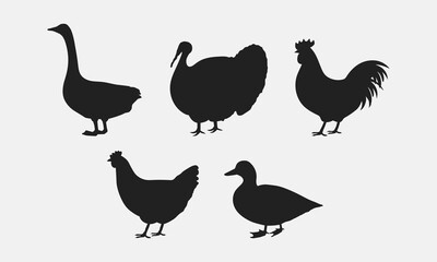 Poultry farm Silhouettes. Goose, Turkey, Rooster, Hen, Duck. Farm Animals icons isolated on white background. Vector poultry icons. 