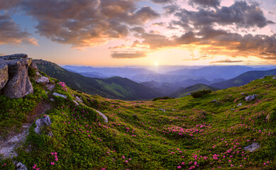 Naklejka na ściany i meble Carpathian morning summer panorama view.