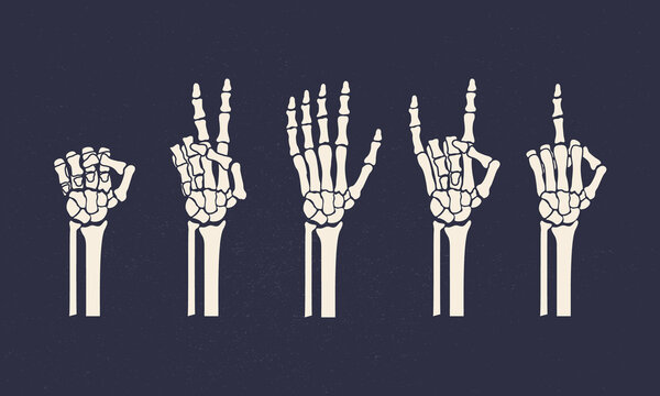 Set of 5 skeleton hands. Bones hand gestures. Gesture of Peace, Rock, stop, middle finger, fist power. Vintage elements for design logo, poster, print for t-shirt. Vector illustration