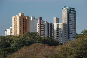 Urban scene showing buildings, blue sky and treetops in the foreground, Piracicaba-SP-Brazil.