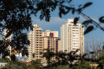Buildings seen through the branches of trees ,Piracicaba-SP-Brazil