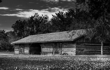 Obraz premium Log barn in a field of flowers in black and white