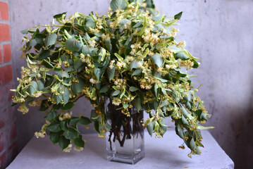 On the table is a lush bouquet of blossoming linden branches on a gray bokeh background.