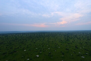 panorama view from a hot air ballon over the savanna in uganda