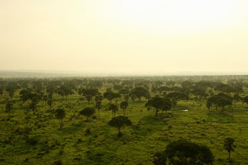 panorama view from a hot air ballon over the savanna in uganda