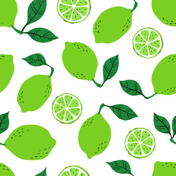 Tropical seamless pattern with green limes and lime slices. Hand drawn lemes pattern on white background. for fabric, drawing labels, print, wallpaper of children's room, fruit background