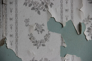 vintage pink wallpaper with flowers in old abandoned house