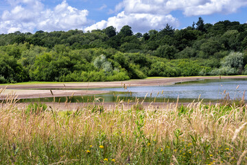 View of Bewl Water reservoir on a summer afternoon, Kent, South of England - obrazy, fototapety, plakaty
