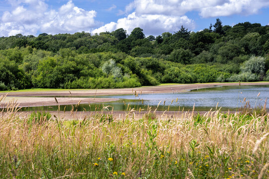 View of Bewl Water reservoir on a summer afternoon, Kent, South of England
