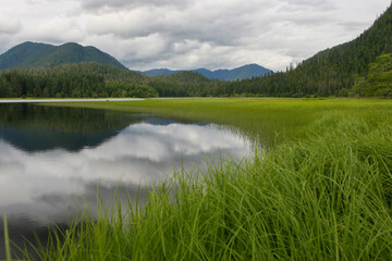 Fototapeta na wymiar Alaskan Marsh