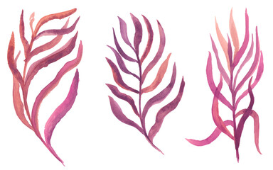 watercolor twigs with leaves of different colors vector isolated elements.
