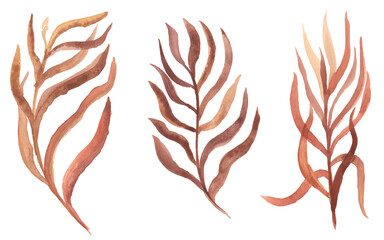 watercolor twigs with leaves of different colors isolated elements.