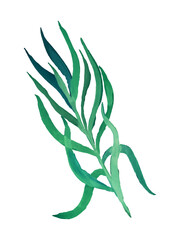 watercolor twig with leaves vector isolated element